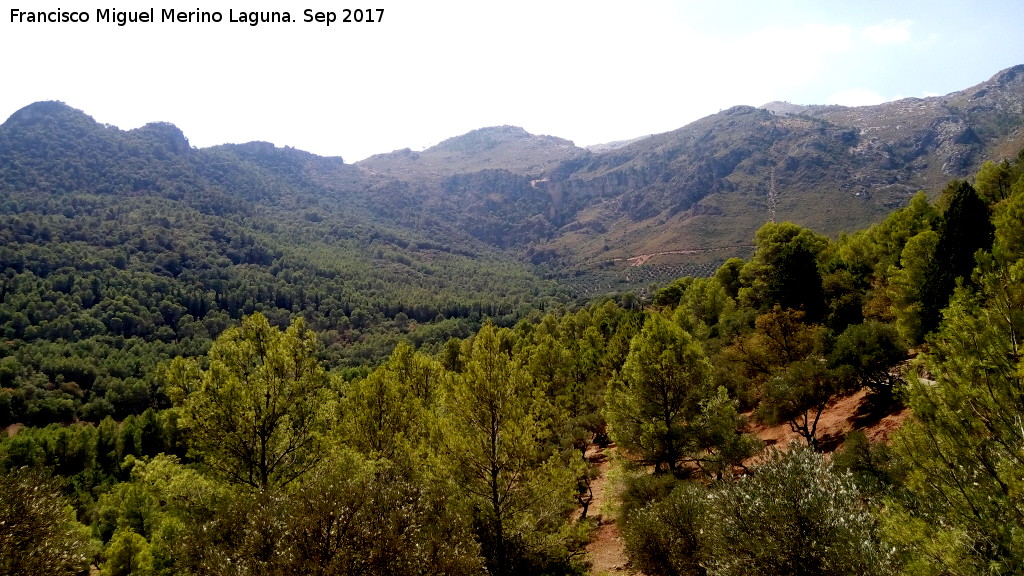 Cerro Cerezuelo - Cerro Cerezuelo. Desde la altura de Solana de Padilla