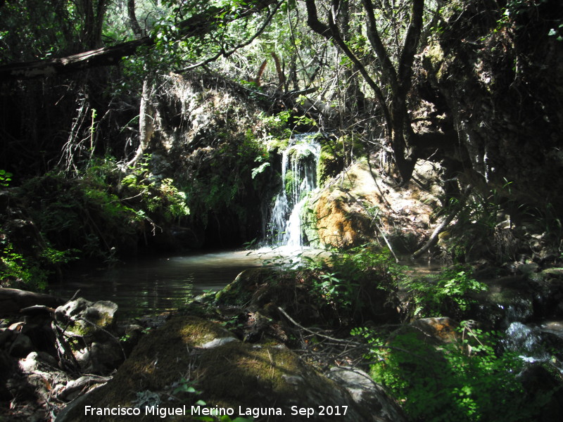 Arroyo Retozadero - Arroyo Retozadero. 