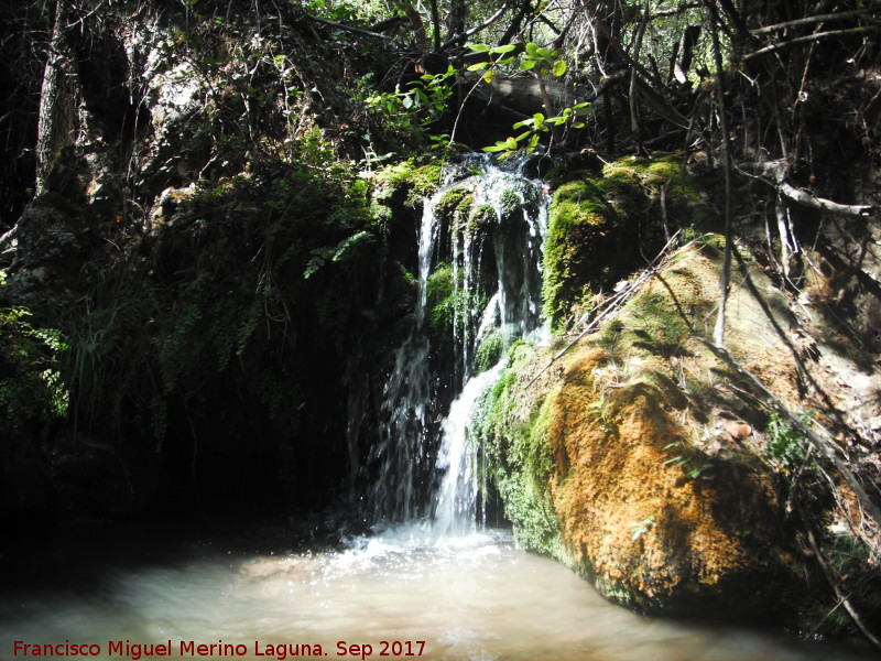 Arroyo Retozadero - Arroyo Retozadero. 