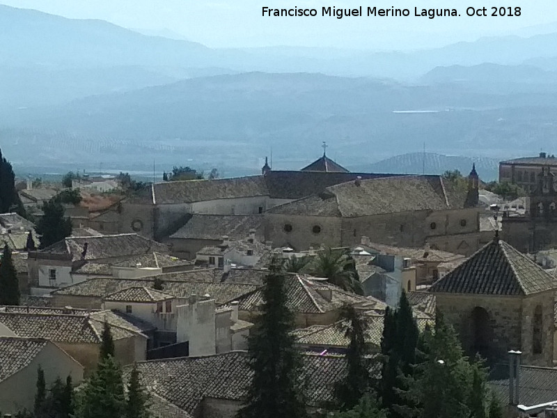 Palacio de Juan Vzquez de Molina - Palacio de Juan Vzquez de Molina. Desde la Torre del Reloj
