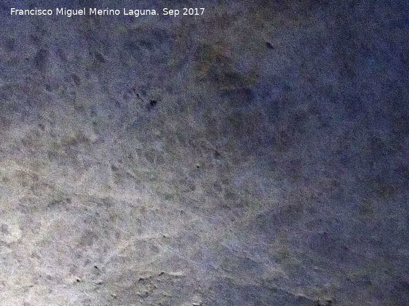 Petroglifos rupestres de la Cueva de los Murcilagos - Petroglifos rupestres de la Cueva de los Murcilagos. Cabeza de zooformo