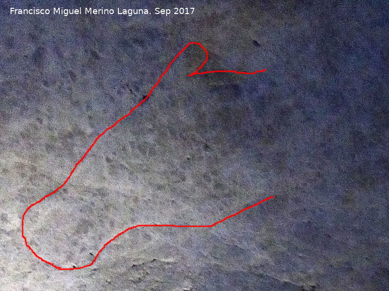 Petroglifos rupestres de la Cueva de los Murcilagos - Petroglifos rupestres de la Cueva de los Murcilagos. Cabeza de felino