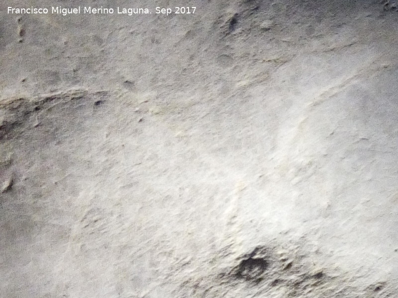 Petroglifos rupestres de la Cueva de los Murcilagos - Petroglifos rupestres de la Cueva de los Murcilagos. Zooformo Cierva?