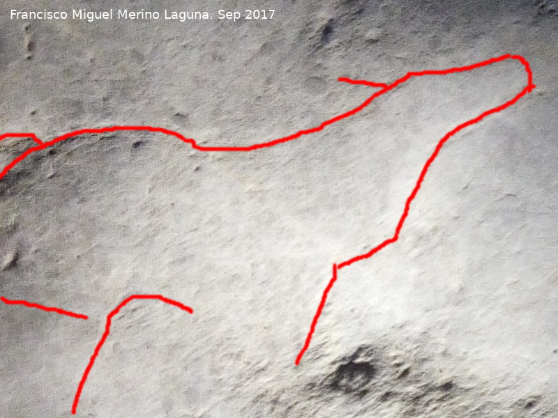 Petroglifos rupestres de la Cueva de los Murcilagos - Petroglifos rupestres de la Cueva de los Murcilagos. Zooformo Cierva?