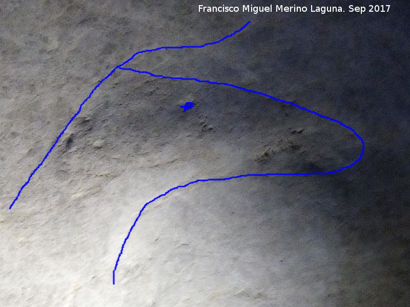 Petroglifos rupestres de la Cueva de los Murcilagos - Petroglifos rupestres de la Cueva de los Murcilagos. Zooformo
