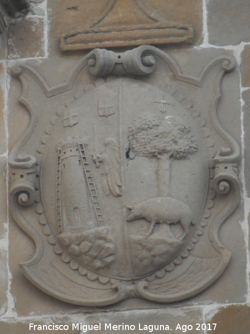 Palacio de los Condes de Guadiana - Palacio de los Condes de Guadiana. Escudo izquierdo de la fachada