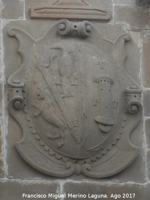 Palacio de los Condes de Guadiana - Palacio de los Condes de Guadiana. Escudo derecho de la fachada