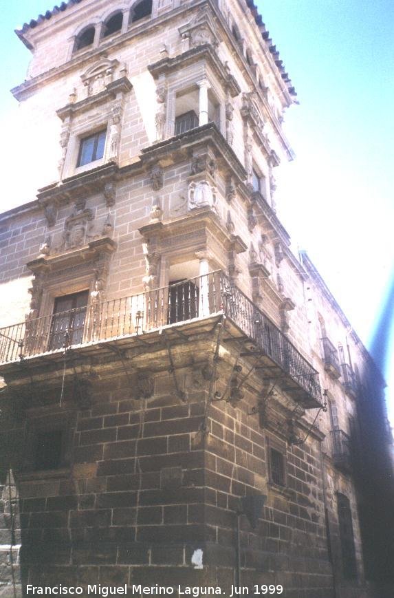 Palacio de los Condes de Guadiana - Palacio de los Condes de Guadiana. 