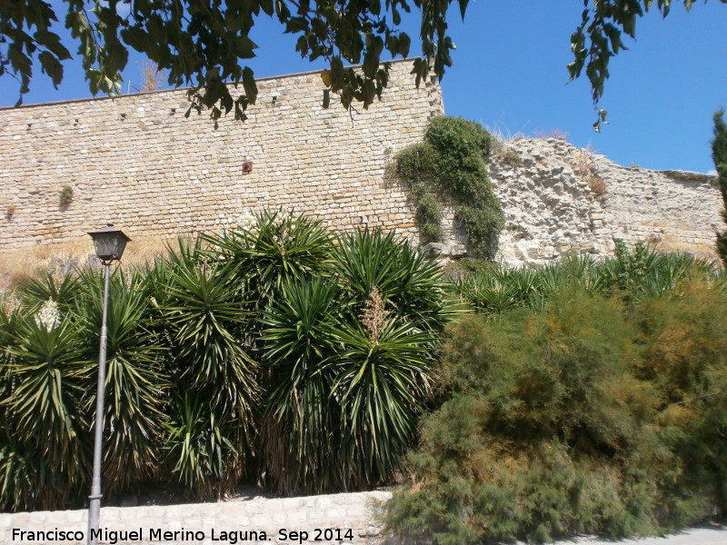 Muralla de beda - Muralla de beda. 