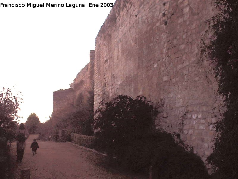 Muralla de San Milln - Muralla de San Milln. 