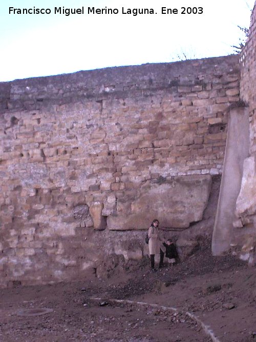 Torren del Huerto del Carmen - Torren del Huerto del Carmen. Tamao de alguna de sus piedras