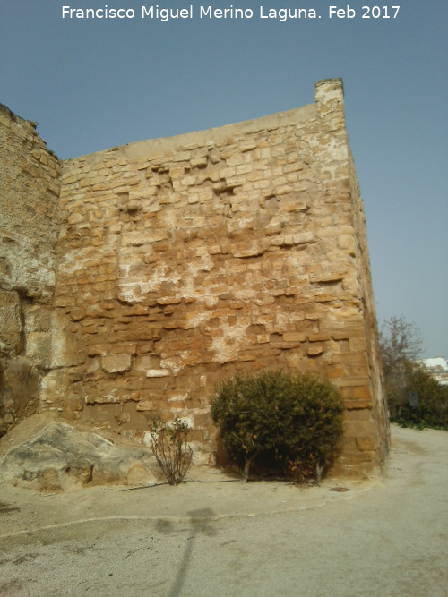 Torren del Huerto del Carmen - Torren del Huerto del Carmen. 