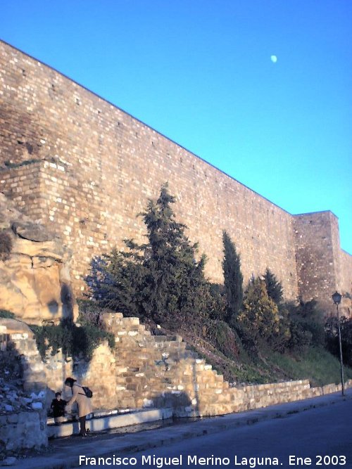 Muralla de Saludeja - Muralla de Saludeja. 