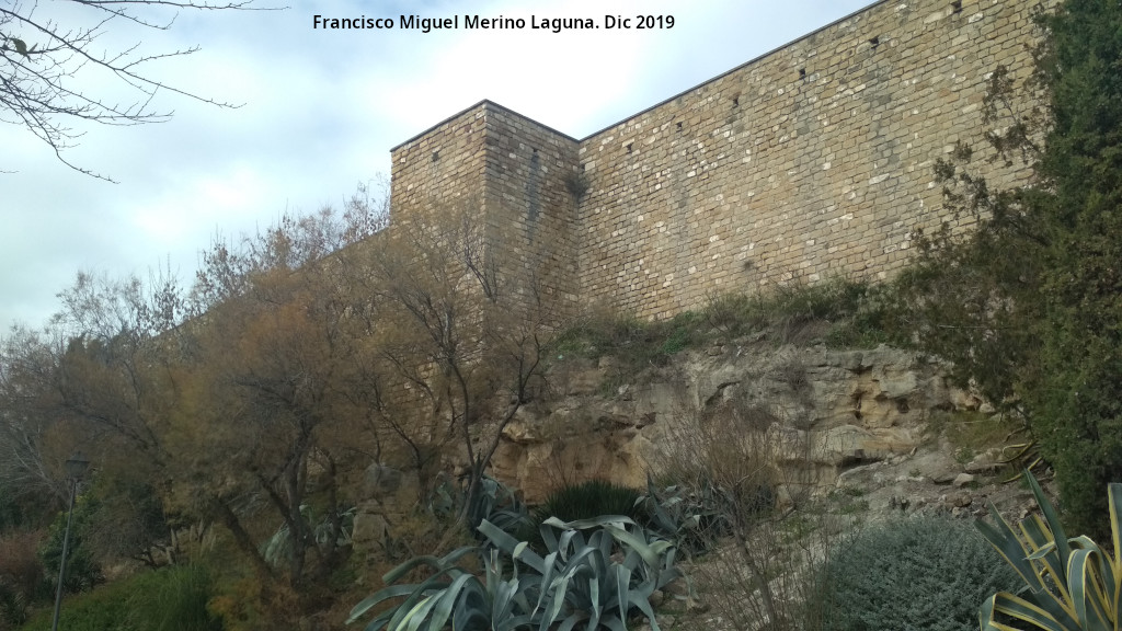 Torren de Saludeja VI - Torren de Saludeja VI. 