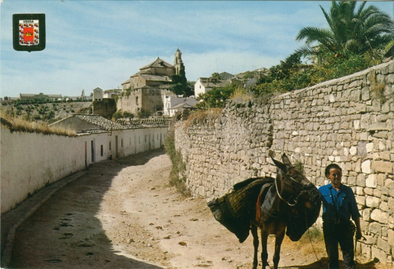 Muralla de Cotrina - Muralla de Cotrina. Antigua postal