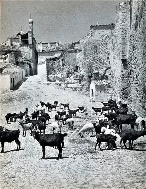 Pilar de la Puerta de Granada - Pilar de la Puerta de Granada. Foto antigua