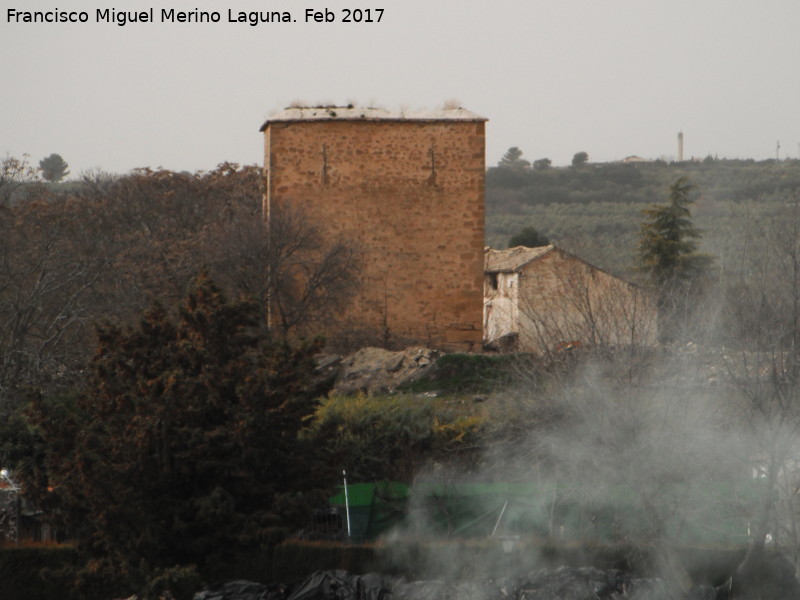 Castillo de Garc Fernndez - Castillo de Garc Fernndez. 