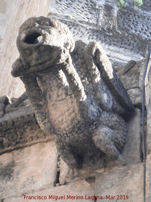 Iglesia de San Isidoro - Iglesia de San Isidoro. Grgola