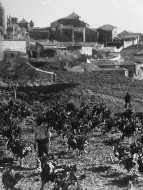 Colegiata de Santa Mara de los Reales Alczares - Colegiata de Santa Mara de los Reales Alczares. Foto antigua