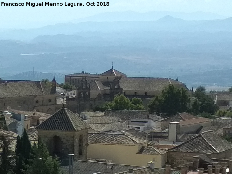 Colegiata de Santa Mara de los Reales Alczares - Colegiata de Santa Mara de los Reales Alczares. Desde la Torre del Reloj