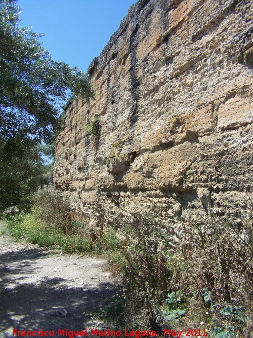 Salaria - Salaria. Gran muro