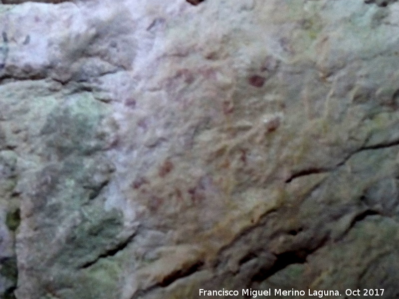 Pinturas rupestres de la Cueva del Fraile III - Pinturas rupestres de la Cueva del Fraile III. Otro grupo de digitaciones
