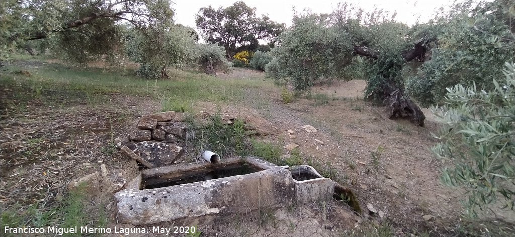 Fuente de las Quebradas - Fuente de las Quebradas. 