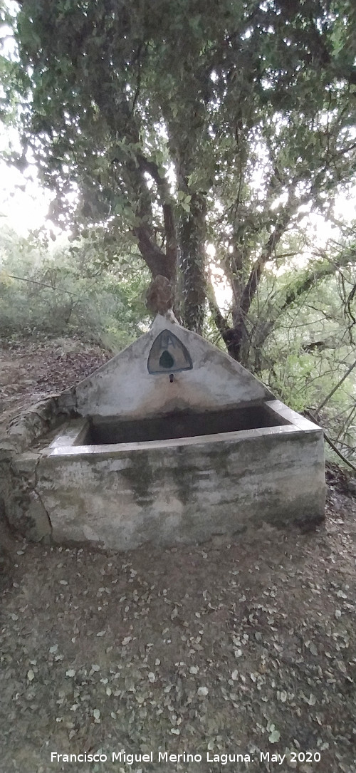 Fuente de la Bellota - Fuente de la Bellota. 