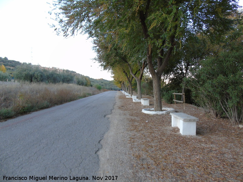 Paseo de la Carretera de la Confederacin - Paseo de la Carretera de la Confederacin. 