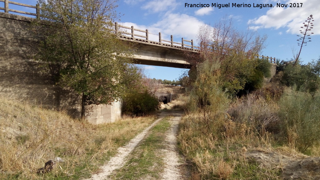 Puente de Trivia - Puente de Trivia. Puente y tnel