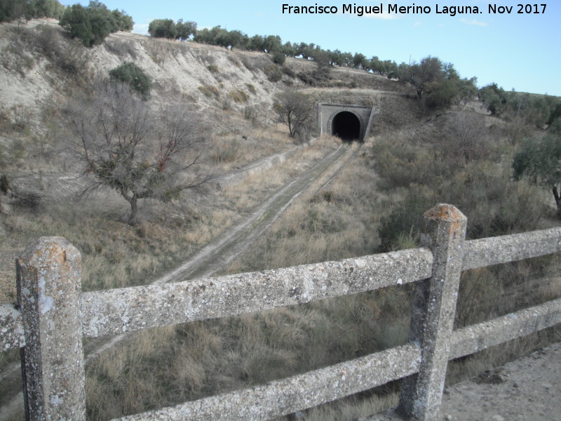 Puente de Trivia - Puente de Trivia. Tnel desde el puente