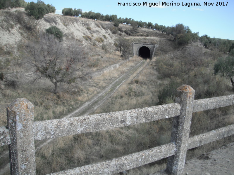 Tnel de Trivia - Tnel de Trivia. Desde el puente