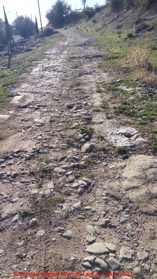 Camino de la Madre de Dios del Campo - Camino de la Madre de Dios del Campo. 