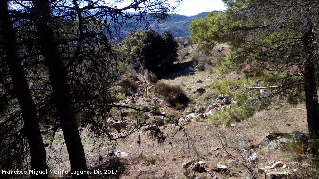 Fuente Cabritas - Fuente Cabritas. Paraje