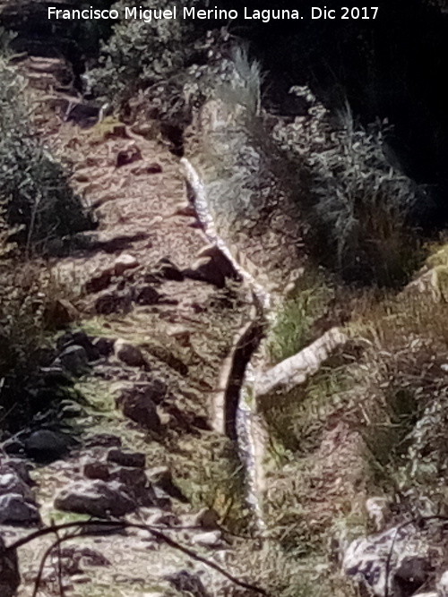 Fuente Cabritas - Fuente Cabritas. Acequia