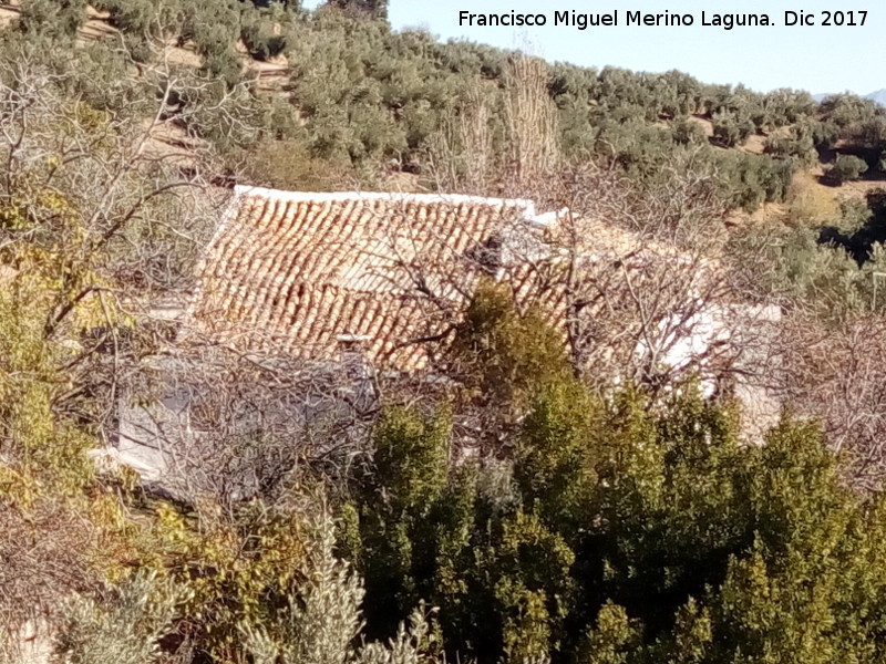 Cortijo de Cigarra - Cortijo de Cigarra. Cubierta