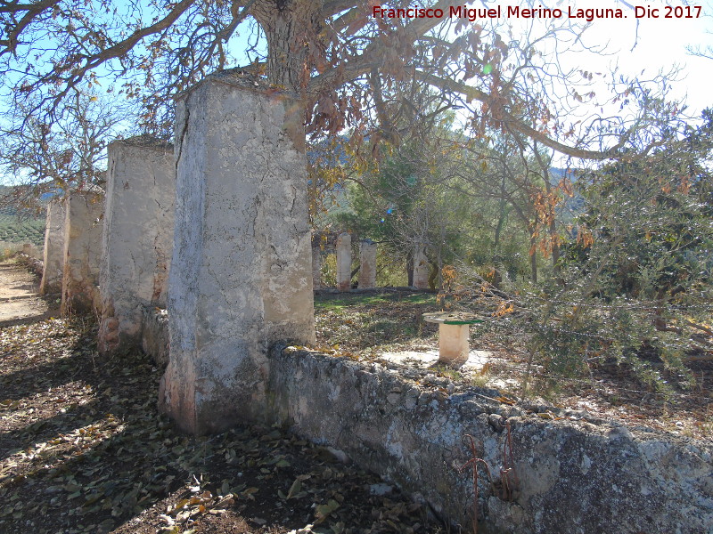 Cortijo del Tesorillo - Cortijo del Tesorillo. Jardn