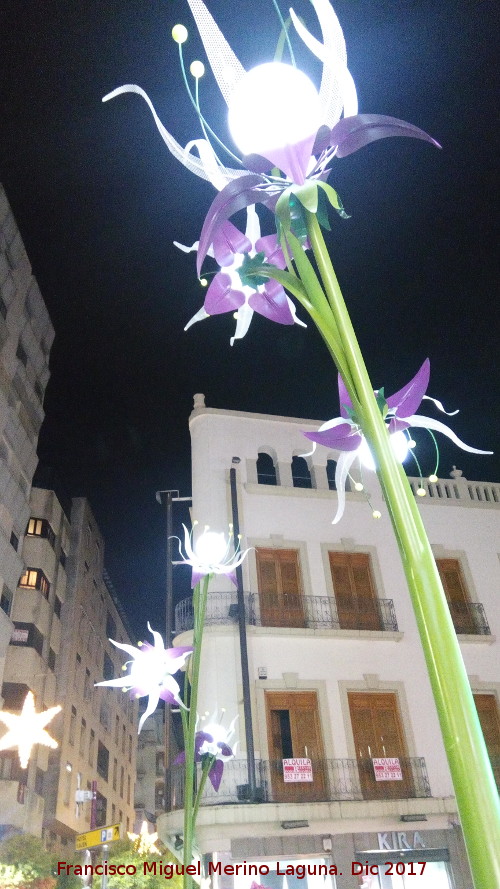 Farolas de Flores - Farolas de Flores. 