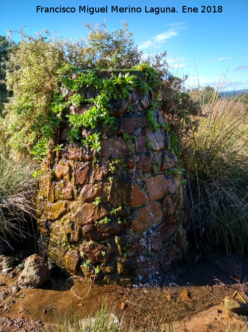 Fuente del rea recreativa de Burguillos. - Fuente del rea recreativa de Burguillos.. 