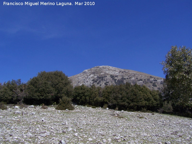 Cerro Ponce - Cerro Ponce. 