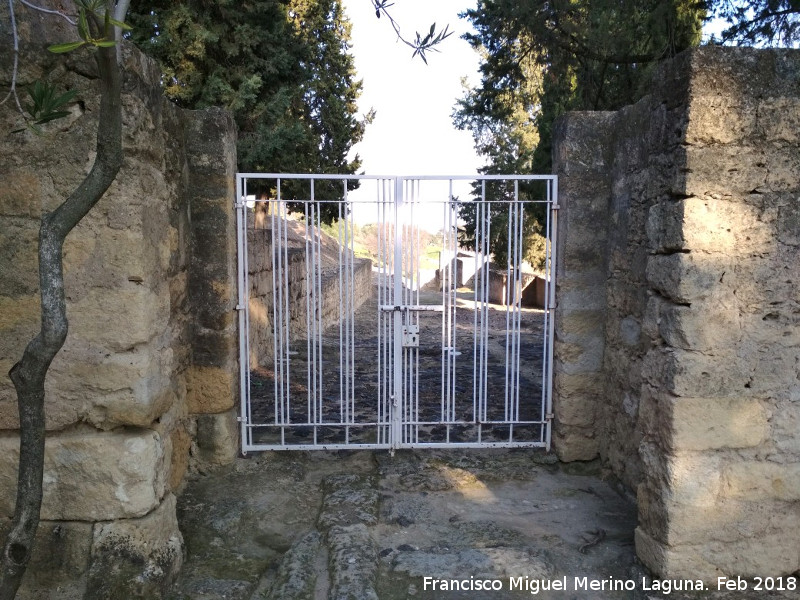 Medina Azahara. Puerta Norte - Medina Azahara. Puerta Norte. Calzada