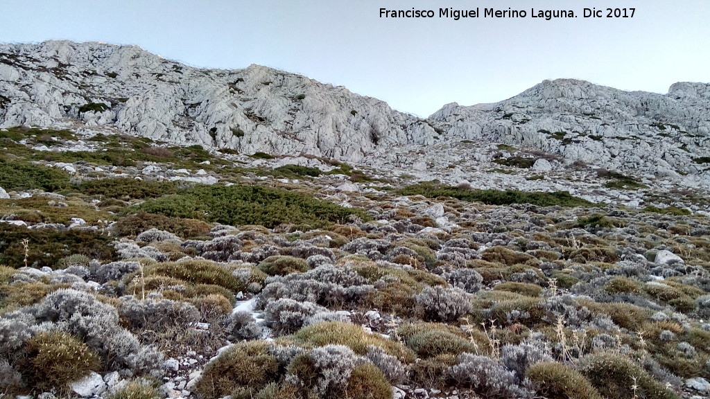 Mgina - Mgina. Ladera norte