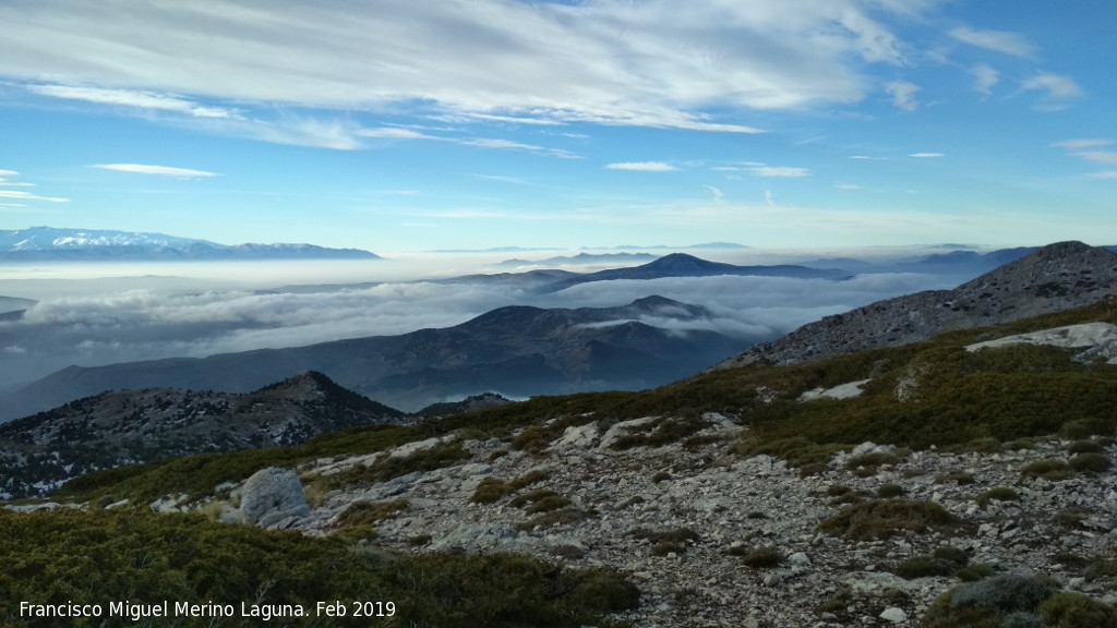 Mgina - Mgina. Vistas