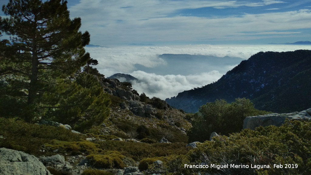 Mgina - Mgina. Vistas desde la ladera sur