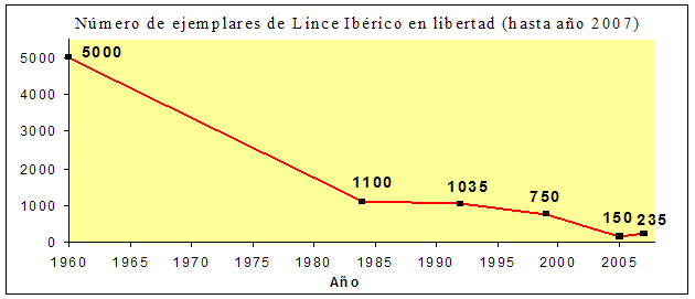 Lince ibrico - Lince ibrico. Poblacin del lince