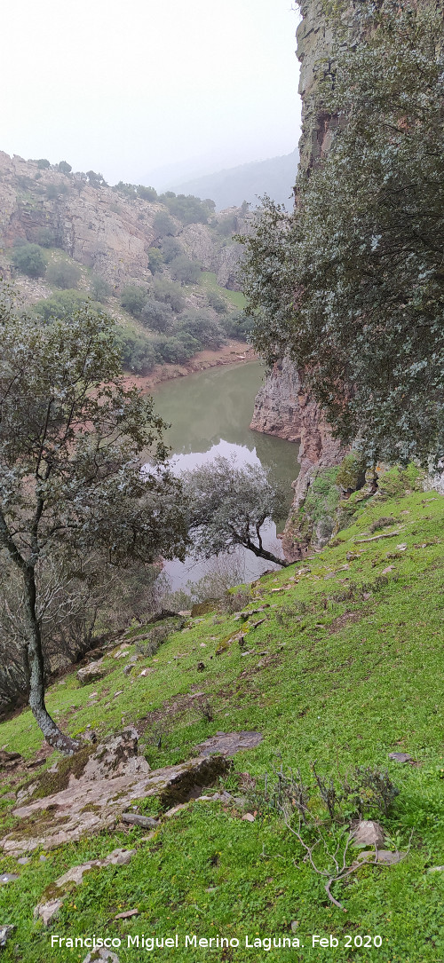 Pinturas rupestres del Abrigo del Guadal�n III - Pinturas rupestres del Abrigo del Guadal�n III. Vista del r�o desde el abrigo