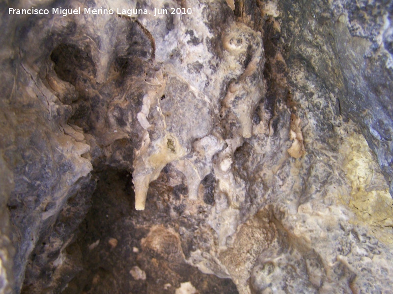 Abrigo del Ventorrillo Pequeo - Abrigo del Ventorrillo Pequeo. Formacin de pequeas estalactitas despus de la esplotacin en la Cueva del Ventorrillo