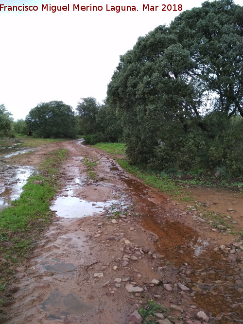 Va Herclea o Camino de Anbal - Va Herclea o Camino de Anbal. 