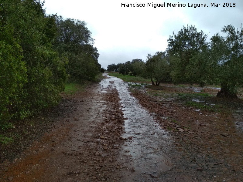 Va Herclea o Camino de Anbal - Va Herclea o Camino de Anbal. 