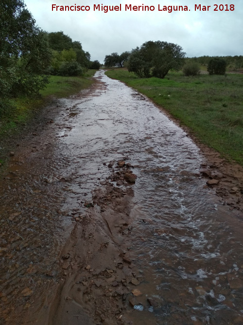 Va Herclea o Camino de Anbal - Va Herclea o Camino de Anbal. 